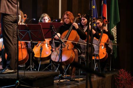 Dan samostojnosti Krško 037